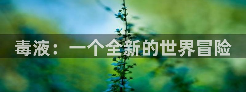 类似漫蛙的漫画网站