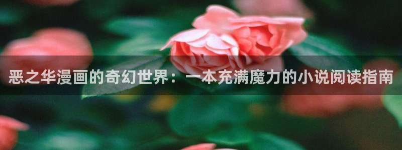 漫蛙manwa2网站版