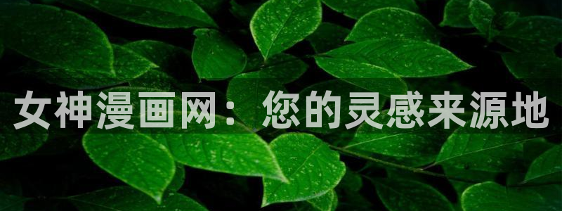 漫蛙manwa正版官网入口