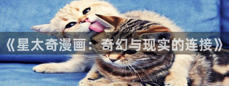 漫蛙2官网下载入口