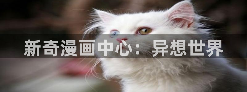 漫蛙wa