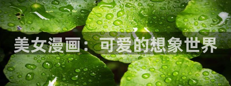 漫蛙3正版官网