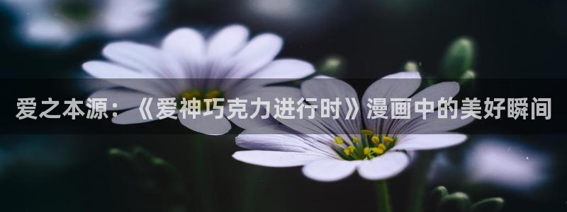 漫蛙 manwa