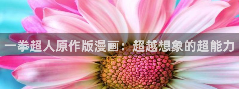 漫蛙忍者蓝漫画
