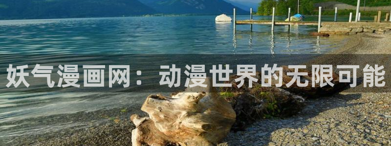 漫蛙网页版