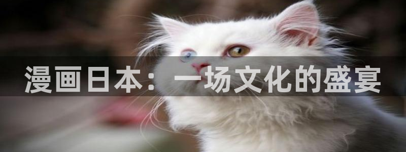 漫蛙manwa最狂最火漫