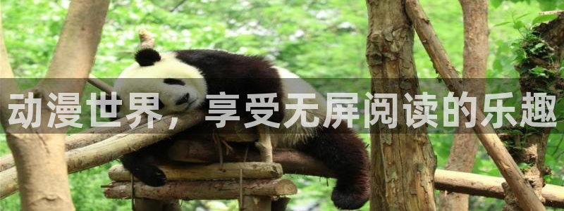 漫蛙的