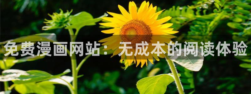腐漫蛙